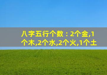 八字五行个数 : 2个金,1个木,2个水,2个火,1个土